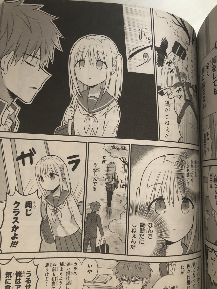 今月のcomicREXにどっちも気づかない。載せていただいてます!アオリにデートって書かれてますが全然デートしないです()
交換企画で柏田さん1話も載ってますー!柏田さんは何気に雑誌に載るの初めてなので嬉しいです?