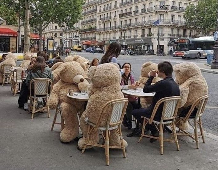 Oakley_CC's tweet photo. Had a word with the treasurer about how to operate social distancing in the club house. We have decided bears are the only option. #SocialDistancinguk #getthebaropen https://t.co/JgTQfuNMwf