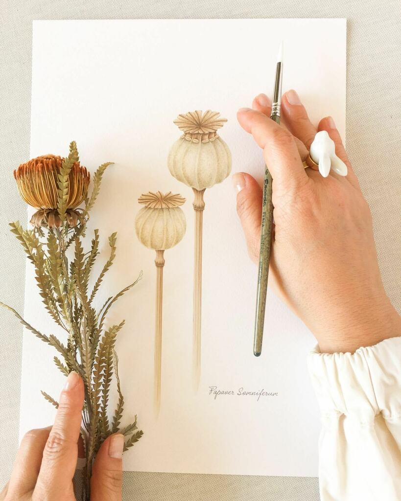 savethedate_P's tweet photo. Cada vez disfruto más del silencio, de la calma, del ahora. De repente en Madrid de escuchan cantar los pajaritos y se agradece un montón.⠀
#savethedateprojects #acuarelabotanicabykz #watercolor #acuarelabotanica #ilustracionbotanica #workshop #cur… https://t.co/CbF1IiE8yF https://t.co/MHQVepAxLp