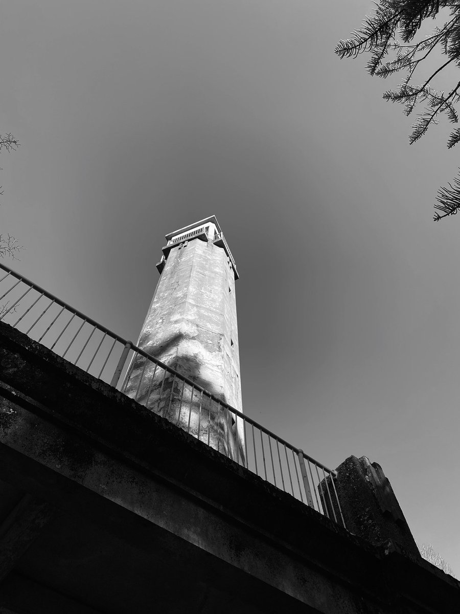 ArtMechaela's tweet photo. Some snaps from today 📸 #blackandwhite #photography #photoart #artsy #art #aesthetic #oldbuilding #botanicalgarden #Australia https://t.co/m655ZKSKpl