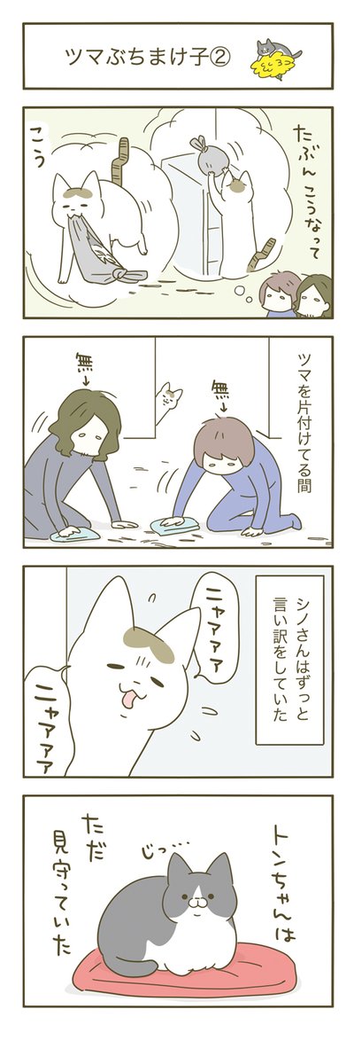 猫にツマをぶちまけられた日 