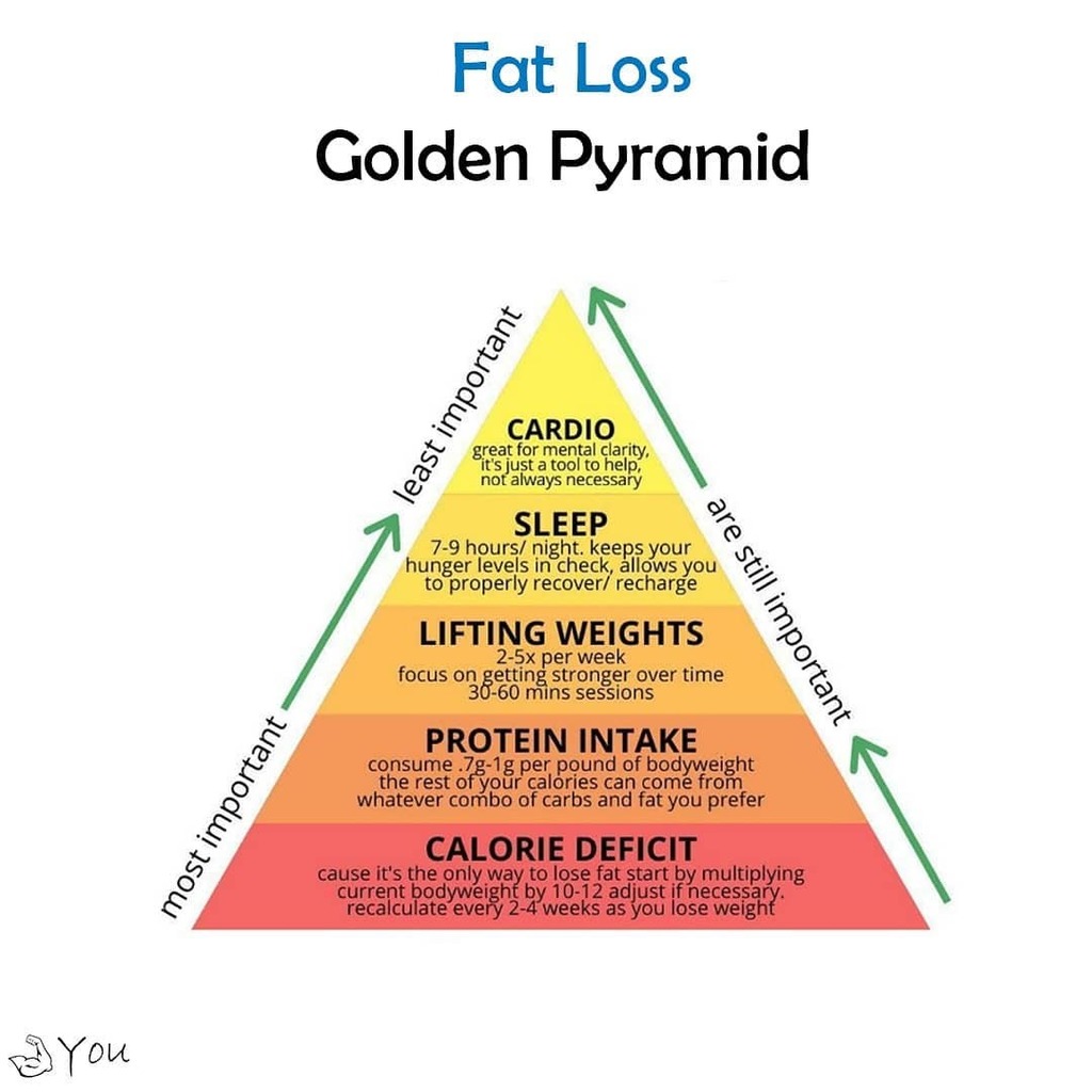 youcantgetbored's tweet photo. Working out is never convenient. But neither is illness, diabetes and obesity!

Follow @youcantgetbored for more

#اغلي_شي_تملكه
#PRIDE2020
#yks2020
#DarkNetflix
#SushantInOurHeartsForever
#PostponeNEETandJEE
#ModiChiniBhaiBhai
#DhoniBirthdayCDP
#Regreso… https://t.co/0jWa0N5XSV https://t.co/aYPCf4VPQ4