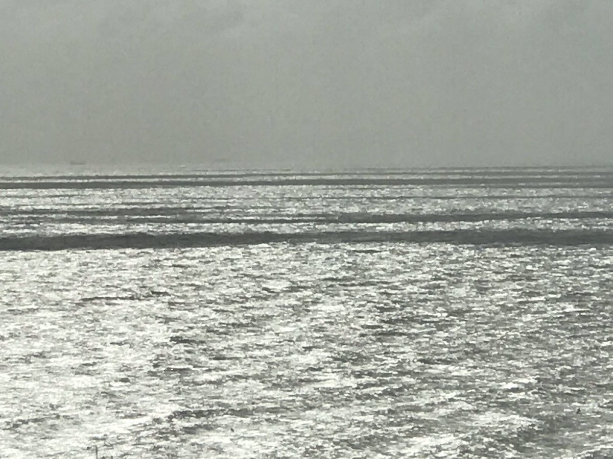 greigburgoyne's tweet photo. La mer scintillante #jour40 https://t.co/rJ3FvJTcJZ