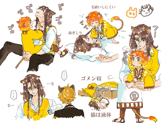 猫ちゃんチェカレオのふれあい 