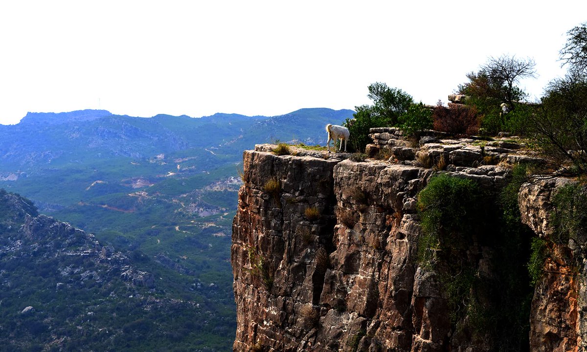 Tulaja Fort, ChakwalLocated in the Soon Valley, little is known of the Tulaja Fort. The fort built on a high cliff gives a beautiful view of the surrounding are.I recommend this great article in Dawn:  https://www.dawn.com/news/1410747 