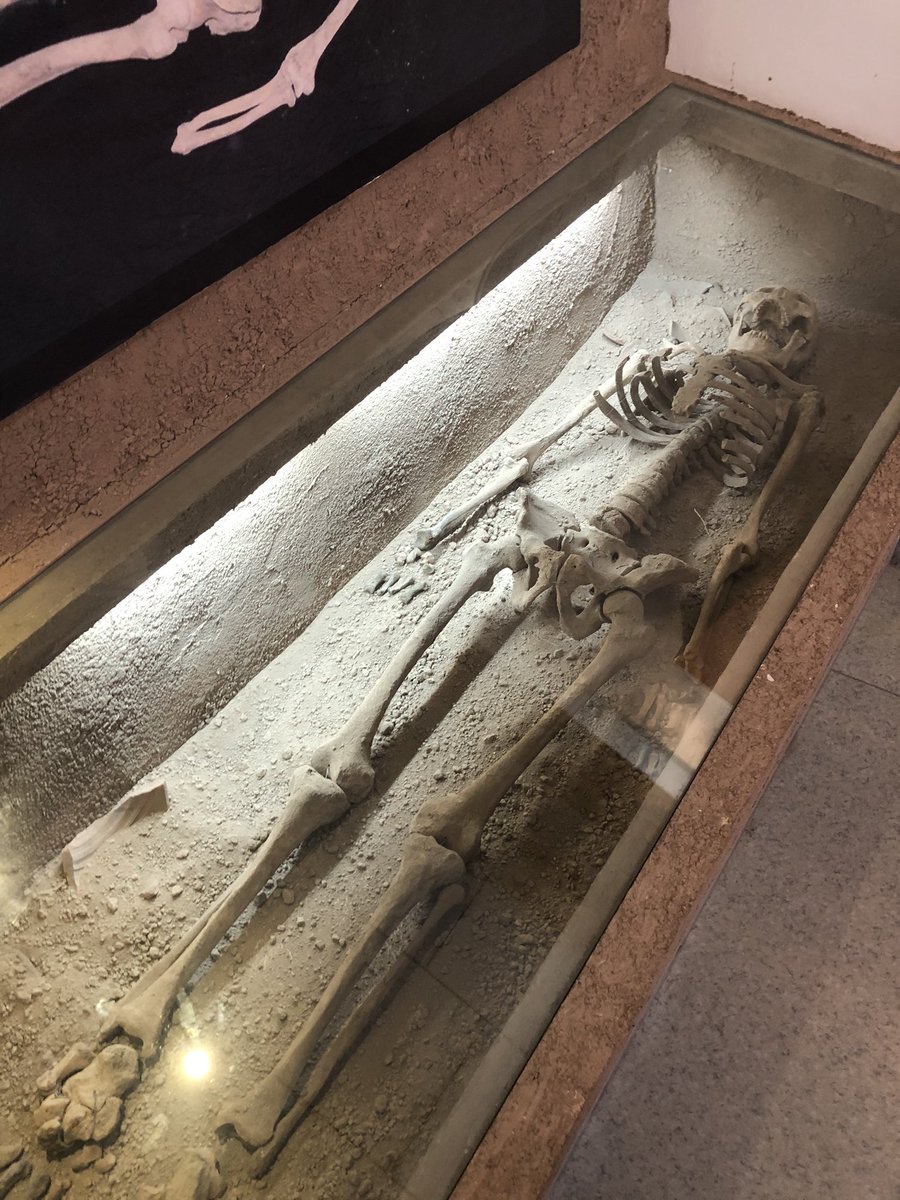 There’s also some circumstantial evidence - a Han dynasty burial of a 6’ man found nearby, proudly proclaimed by the County Museum as that of a Roman due to his ‘strong European features’. DNA studies have been inconclusive. Not the most convincing. 7/x