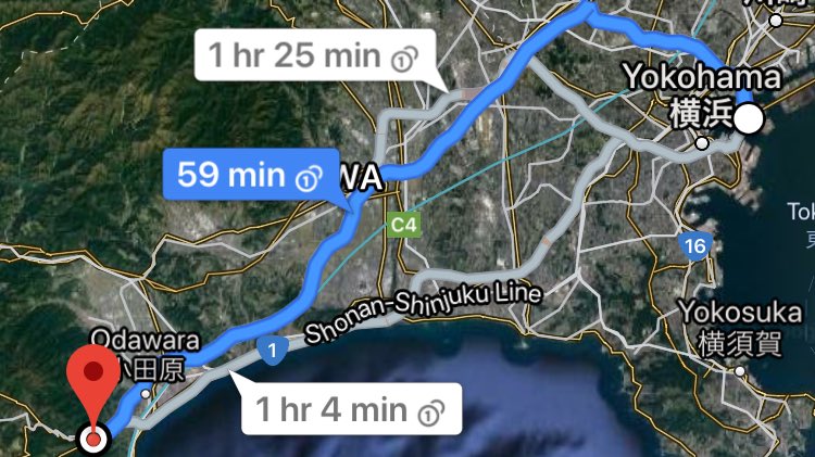 The drive to Hakone itself took a while (not to mention kinda pricey from toll checkpoints — which I had no ETC card with me so I had to do the full stops every time lol). I still had tons of fun on the way tho’; it kinda felt like driving downward California’s 101 past Monterey.