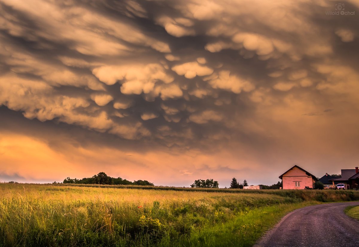 Witold Ochał (@witekochal) on Twitter photo Mammatus, 27.06.2020, Podkarpacie
Na blogu; witoldochal.blog/2020/06/28/mam…
#comisienawineloprzedobiektyw #meteofotografia #meteorologia #pogoda #burza
<a href="/wr_int/">jeff</a> <a href="/StormchaserUKEU/">WEATHER/ METEO WORLD</a> <a href="/severeweatherEU/">severe-weather.EU</a> <a href="/WeatherAlertsEU/">Weather Alerts Europe ⚠</a> <a href="/WetterEurope/">Wetter Europe</a> <a href="/dobrapogoda24/">DobraPogoda24.pl</a> Mammatus, 27.06.2020, Podkarpacie
Na blogu; witoldochal.blog/2020/06/28/mam…
#comisienawineloprzedobiektyw #meteofotografia #meteorologia #pogoda #burza
<a href="/wr_int/">jeff</a> <a href="/StormchaserUKEU/">WEATHER/ METEO WORLD</a> <a href="/severeweatherEU/">severe-weather.EU</a> <a href="/WeatherAlertsEU/">Weather Alerts Europe ⚠</a> <a href="/WetterEurope/">Wetter Europe</a> <a href="/dobrapogoda24/">DobraPogoda24.pl</a>