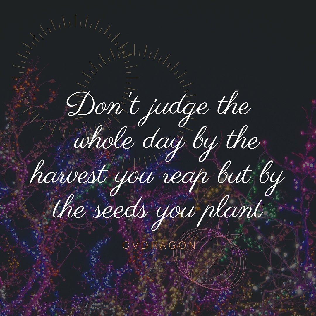 Don't judge you whole day by the harvest you reap but by the seeds you plant.
.
.
.
#simplelife #judge #plant #seeds #seedstarting #seedsaving #seedscolor #seedsofcompassion #seedsofhope #harvest #reaper #reapwhatyousow #quotesoftheday #dayquotes #goodday #judgequotes