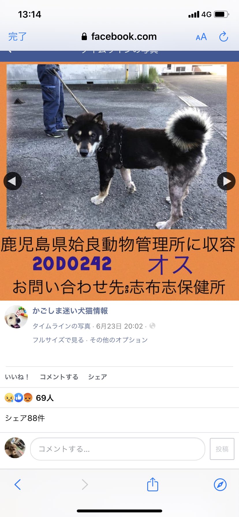 鹿児島県動物愛護センター 鹿児島動物愛護センター 動物愛護センター 鹿児島県保健所 鹿児島県動物管理所 鹿児島動物管理所 動物管理所 迷い犬 保護犬 迷子犬 殺処分 命の期限 里親募集 里親募集中