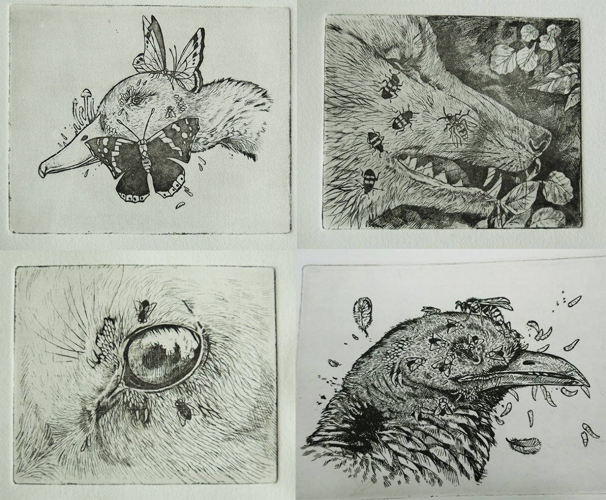 Etches of decaying animals. Lots of disco rice x) 
