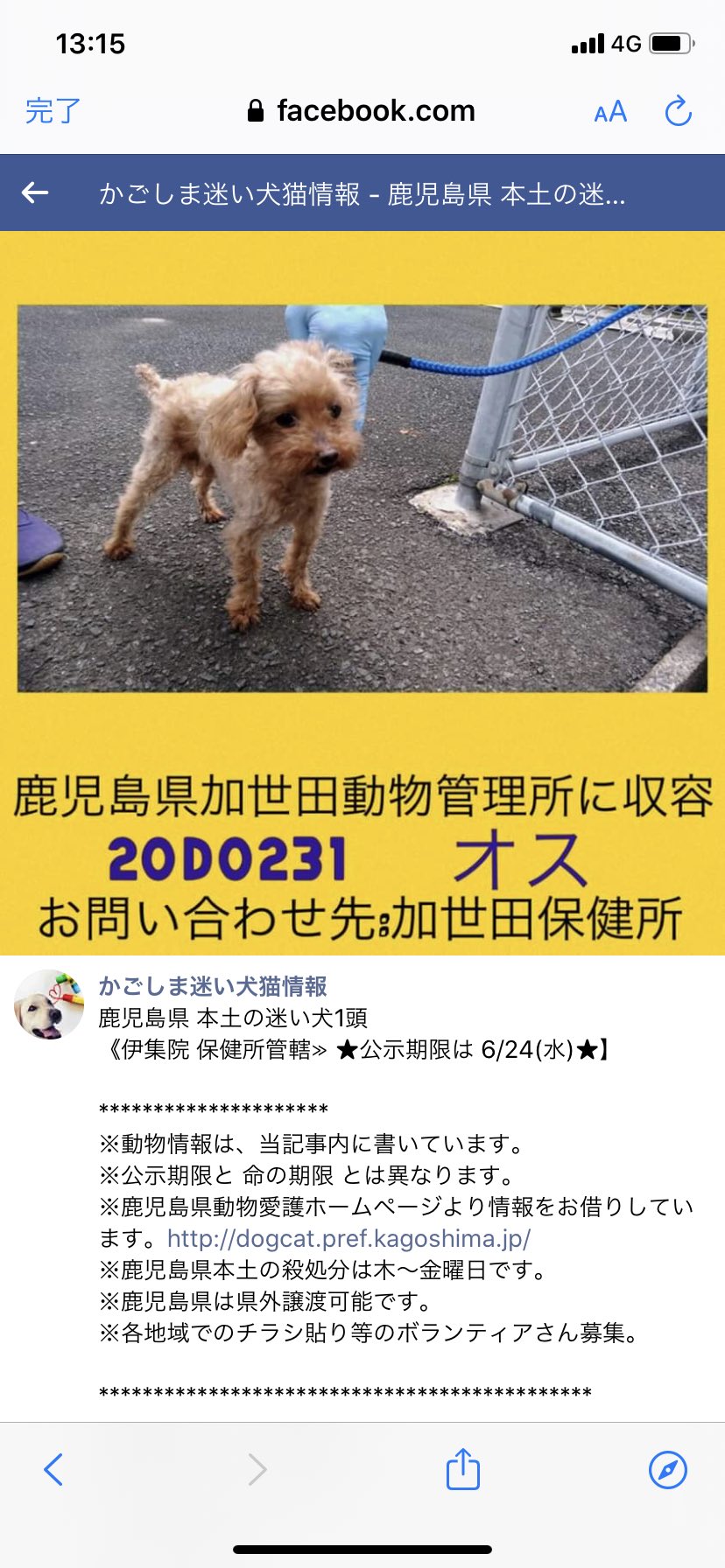 鹿児島県動物愛護センター 鹿児島動物愛護センター 動物愛護センター 鹿児島県保健所 鹿児島県動物管理所 鹿児島動物管理所 動物管理所 迷い犬 保護犬 迷子犬 殺処分 命の期限 里親募集 里親募集中 鹿児島県 鹿児島 鹿児島県志布志