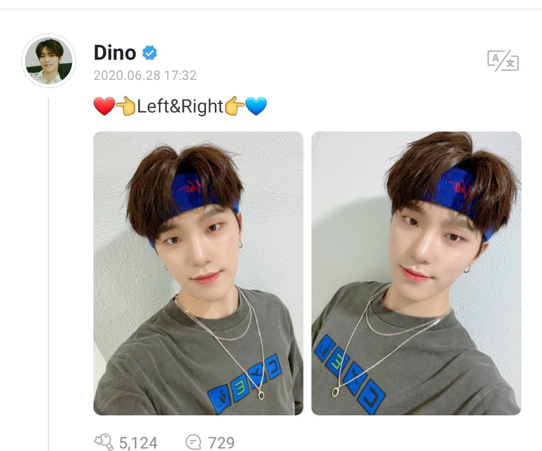 dino_backup's tweet photo. 200628 #디노
❤👈Left&amp;Right👉💙 https://t.co/PU1eMYvVc0