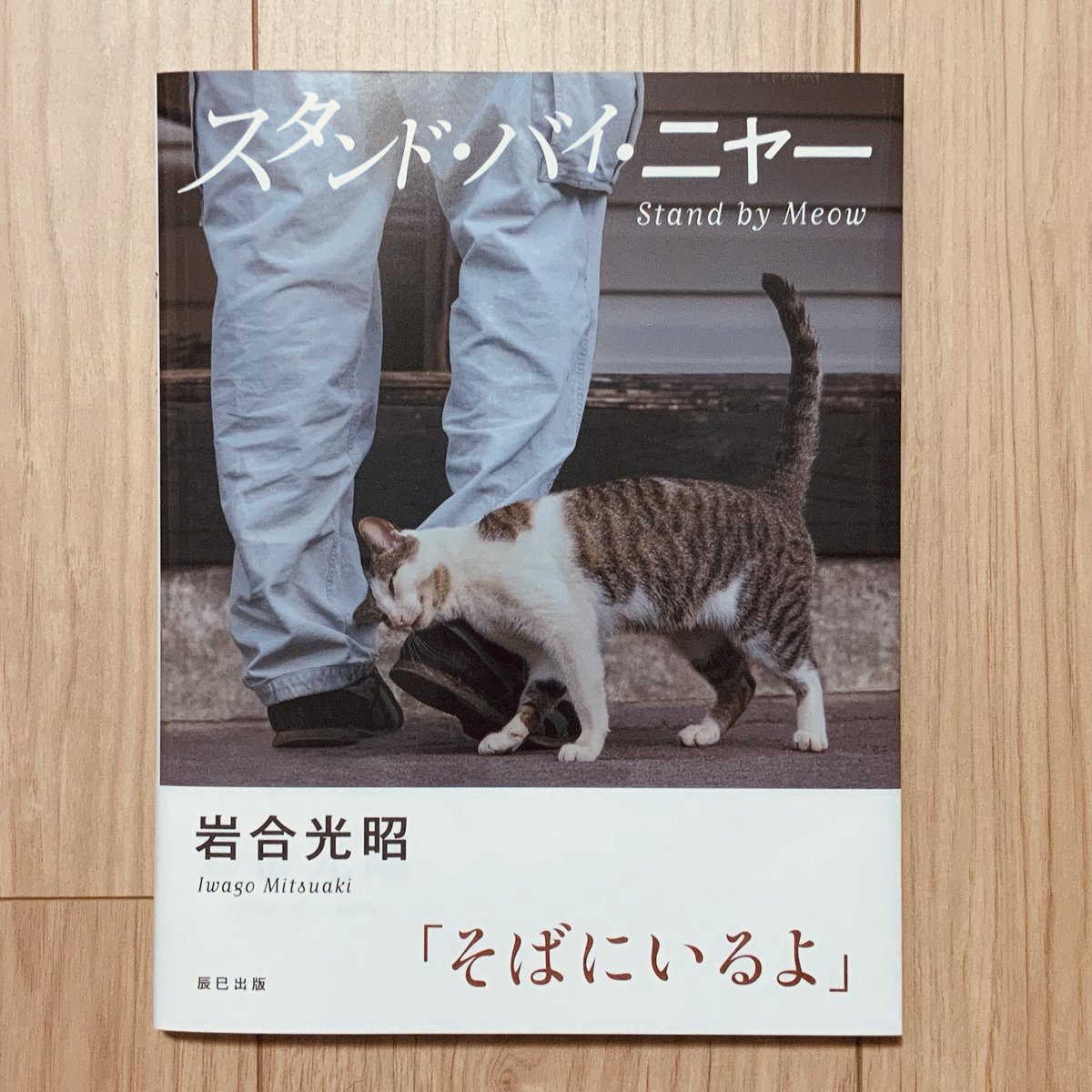 ニャーに癒される週末。 