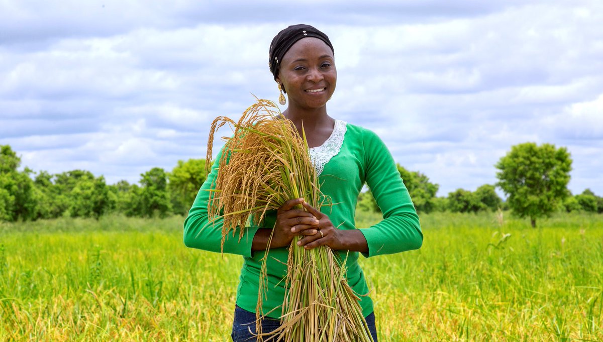 IFAD's tweet photo. When women are empowered, communities are empowered.

Gender equality is a key element to reduce rural poverty and improve food security.

#InvestInRuralPeople https://t.co/XtFDqvSiLt