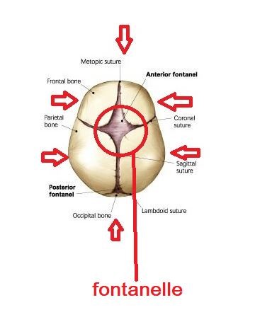 2/4 Surprisingly, each symbol on this special KAPALA has both spiritual and scientific meaning hidden behind it. For example--the crossed VAJRA marked in the pic 1 corresponds to fontanelle. Hindus associate it with~seat of 7th chakra~Exit of last breath~Good health