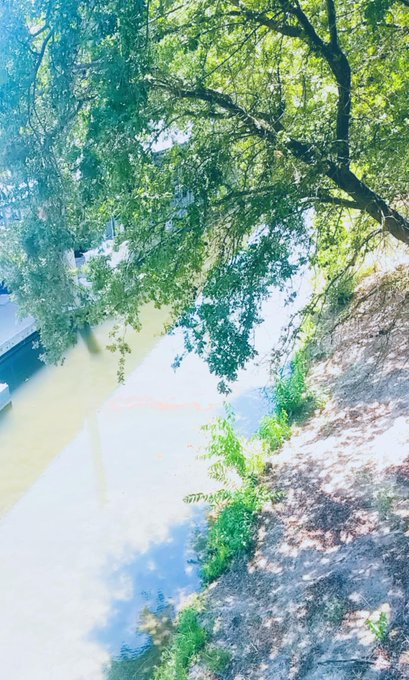 Who doesn't love a boat day https://t.co/AS18Wy6vVv<a href="/tag/pornhub"class="tags"><span>#pornhub</span></a><a href="/tag/freeporn"class="tags"><span>#freeporn</span></a><a href="/tag/400k"class="tags"><span>#400k</span></a>