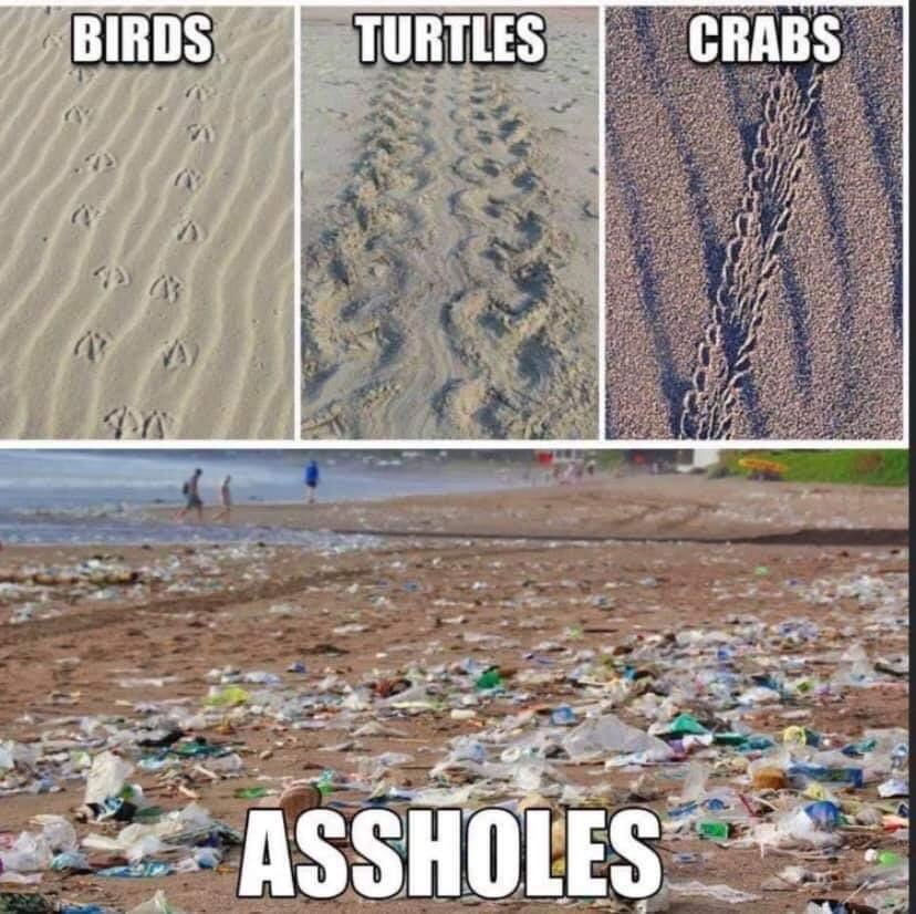 20472d's tweet image. Enough said. 😗