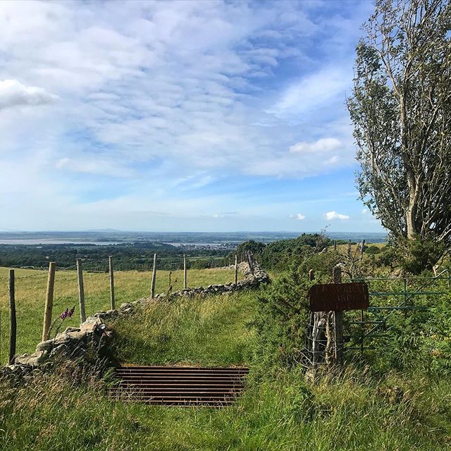 WalesTrails's tweet photo. Another fabulous view from our little walk to Moel Smytho - gorgeous little adventure with really beautiful views and very cool forgotten cattle grids 🥾🥾#mywalestrails .
.
.
.
.
.
#nature_wizards #allnatureshots…

📸 https://t.co/3hNledTvgK via https://t.co/IFM5z5YKmS https://t.co/yVoBOXr1lR