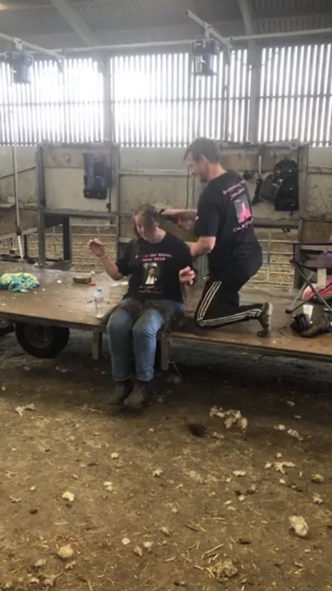 Mom and my bro rich did brave the shave yesterday. Rich ran a marathon followed by cycling 100 miles, mom helping me get through 504 ewes at home before I shore her myself. All for there chosen charities, you can donate here;  justgiving.com/fundraising/Ka… or justgiving.com/team/RichardGr…