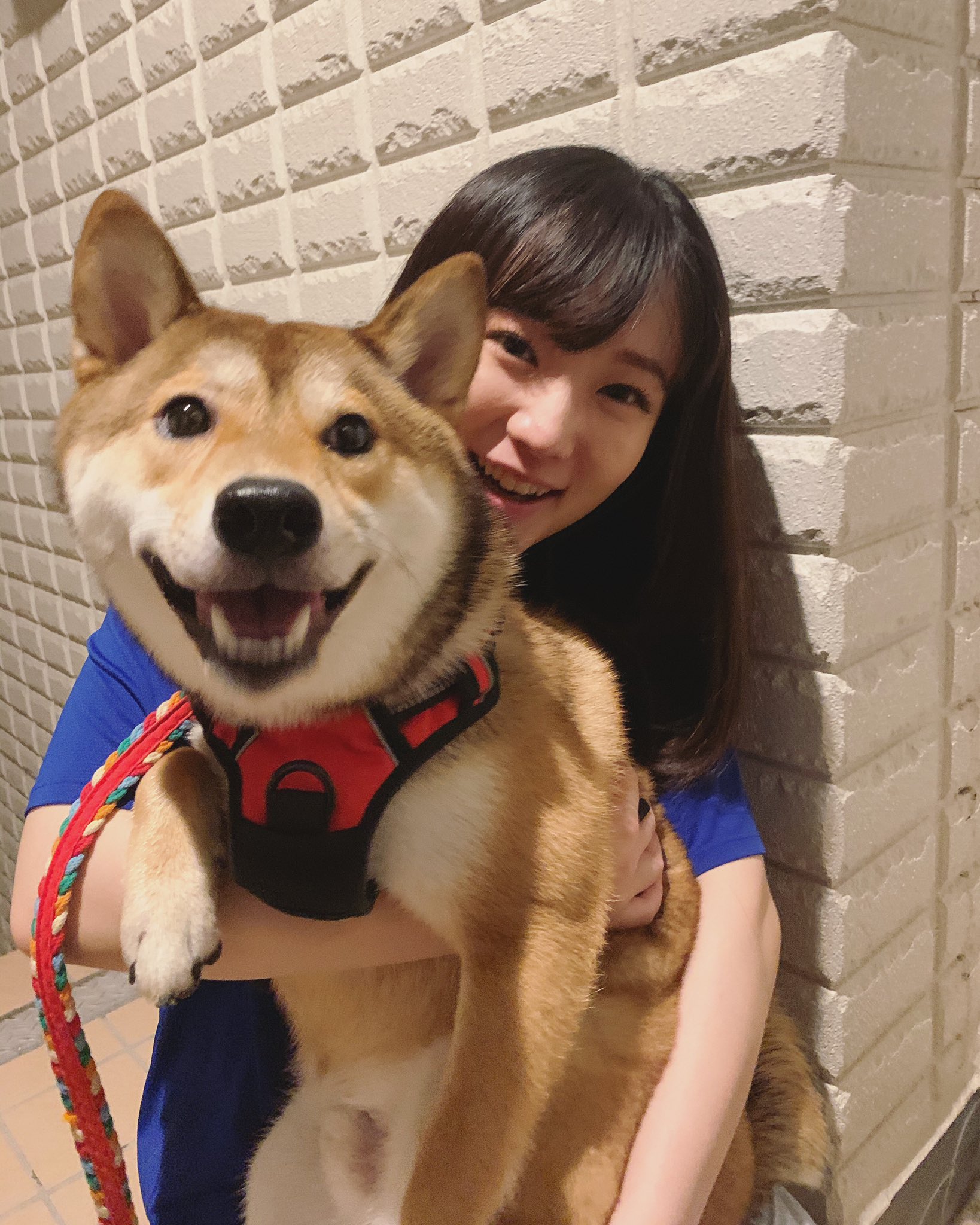 See Kenmochi Yukie S Tweet Twitter
