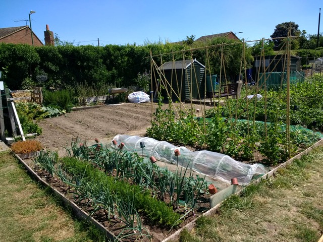 KjarGriffin's tweet photo. RT Yr.6 Gardening Challenge Entry. https://t.co/wYOOkm5ya9