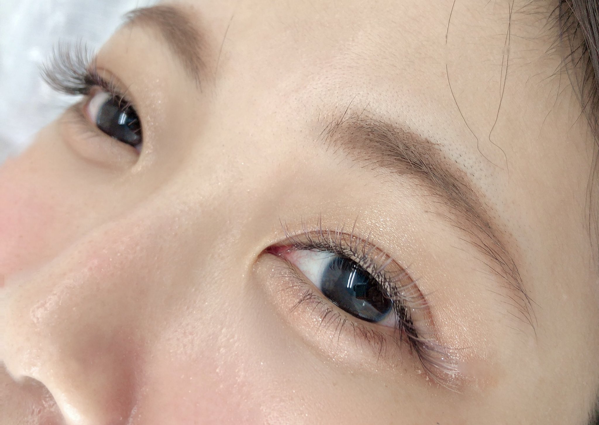 טוויטר ﾅｶﾞｲ ｻﾔﾅ 滋賀 守山 まつ毛パーマ マツエク בטוויטר All Brown 思い切ったブラウンのデザインも 優しい印象でかわいいですね 角度によって見え方が 変わるのも可愛いポイントです カラーエクステ 滋賀マツエク 守山マツエク マツエクデザイン