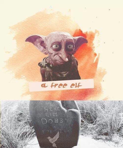 “Here lies Dobby, a Free Elf.”

#HappyBirthdayDobby #RIPDobby