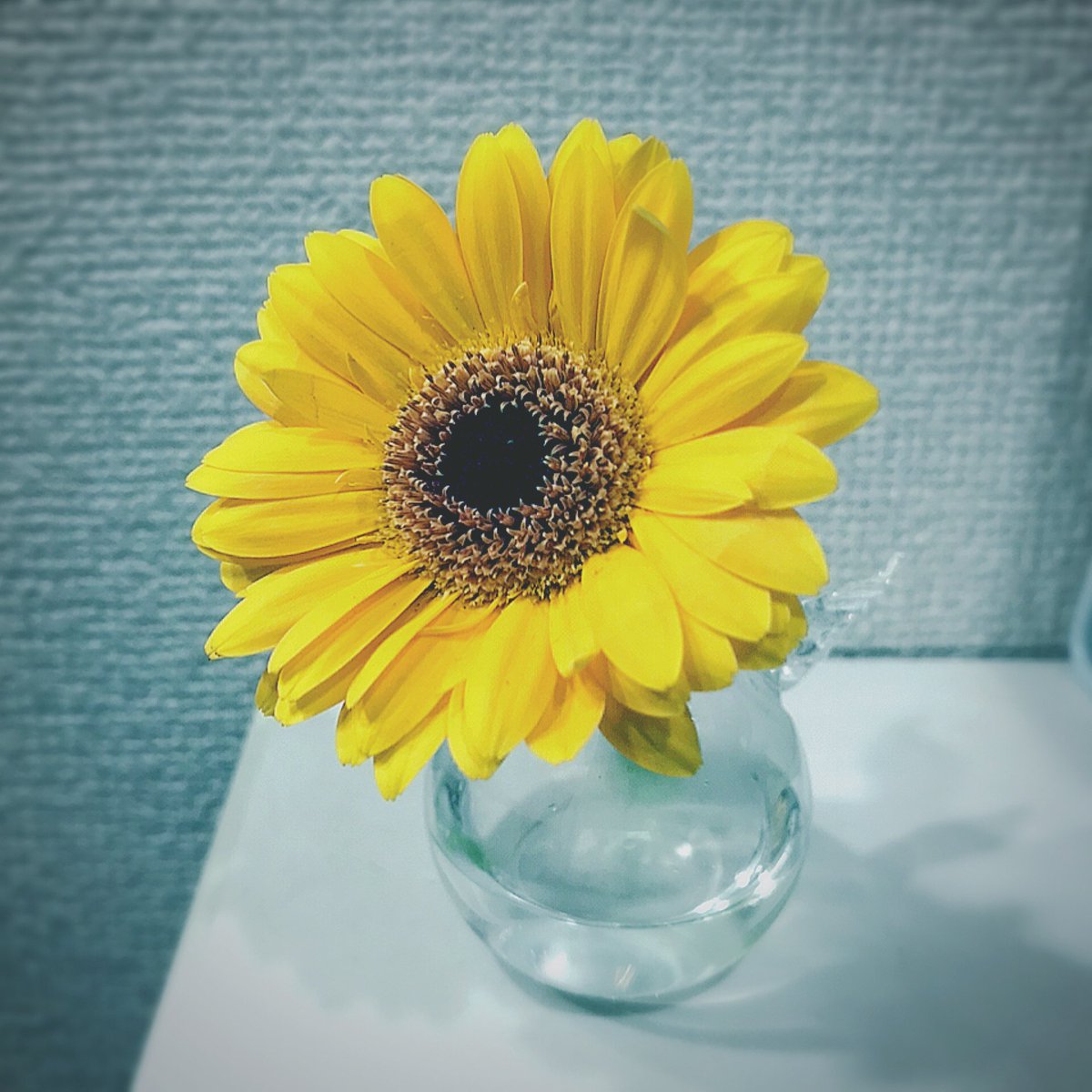 Lithilt いただいたお花たちをばらしてお気に入りの花瓶にそれぞれいけたらとってもかわいい ビタミンカラーのガーベラは 一輪挿しへ 羽がはえました Lithilt いただいたお花たちをばらしてお気に入りの花瓶にそれぞれいけたらとってもかわいい ビタミンカラーのガーベラは 一輪挿しへ 羽がはえました
