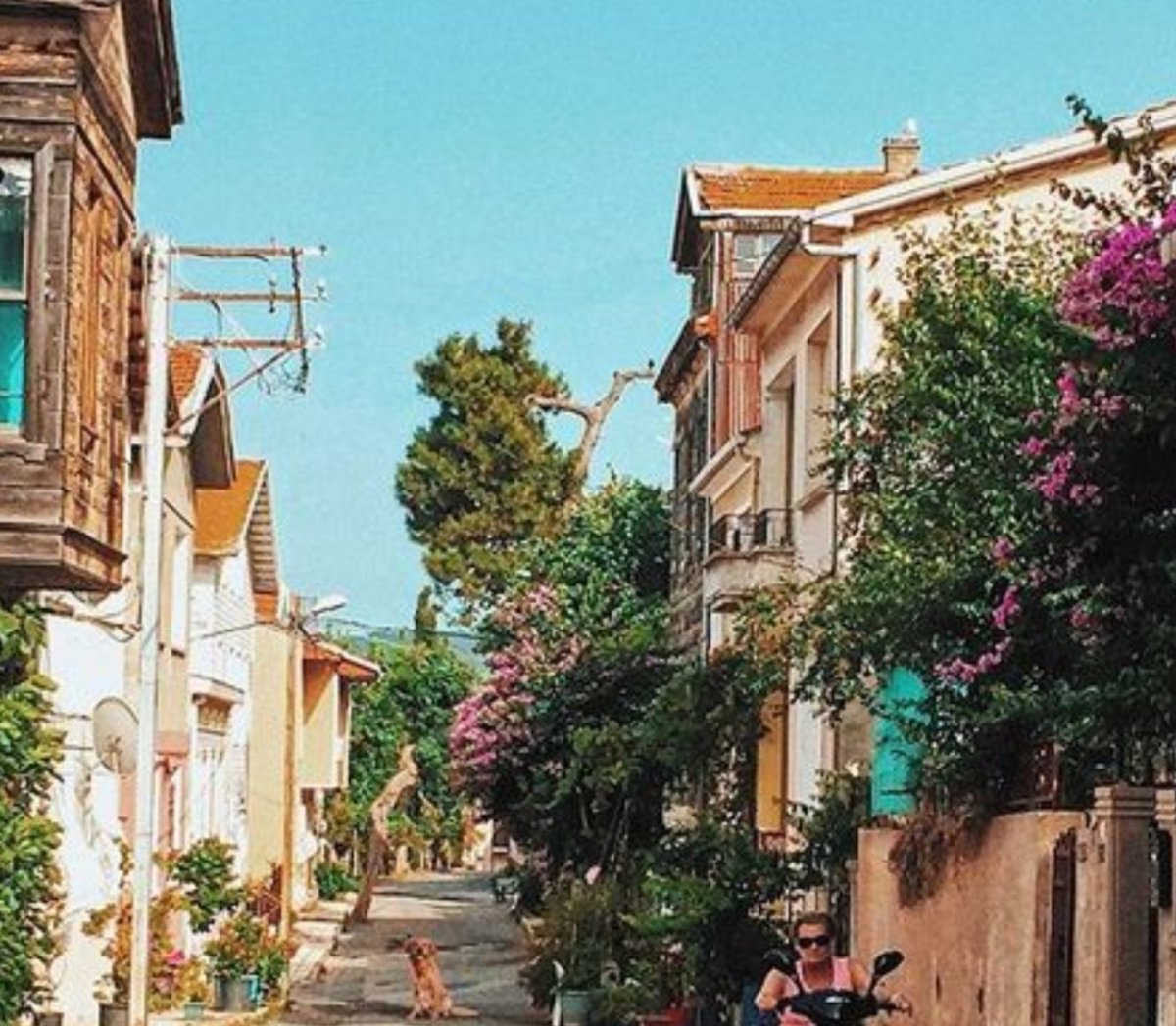 Düşlerde  yürüyüş ler Heybeliada