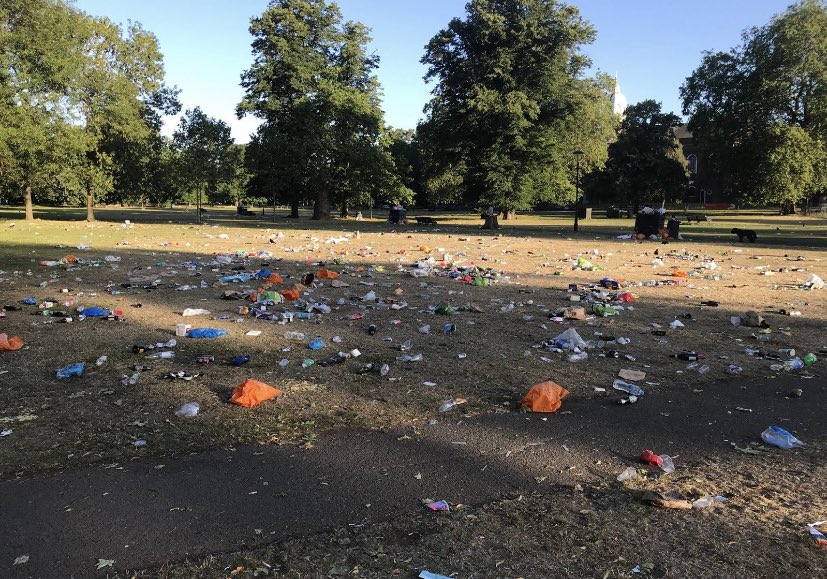 Clapham Common this morning. Literally how hard is it to put your crusty tub of hummus and £7 bottle of Prosecco from Tesco in the bin you ANIMALS.