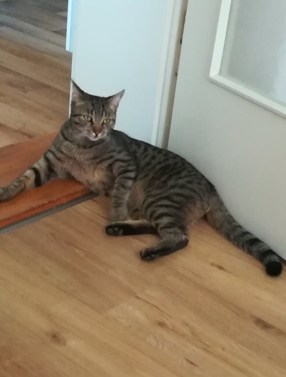 Muschelschloss's tweet image. heiss heute... #Muxi