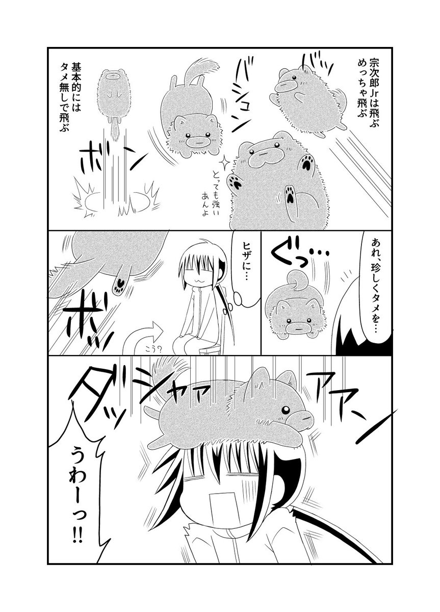 元気の有り余ってるポメっ子。とにかく飛ぶ。とりあえず飛ぶ。 #宗次郎Jr #ポメラニアン 