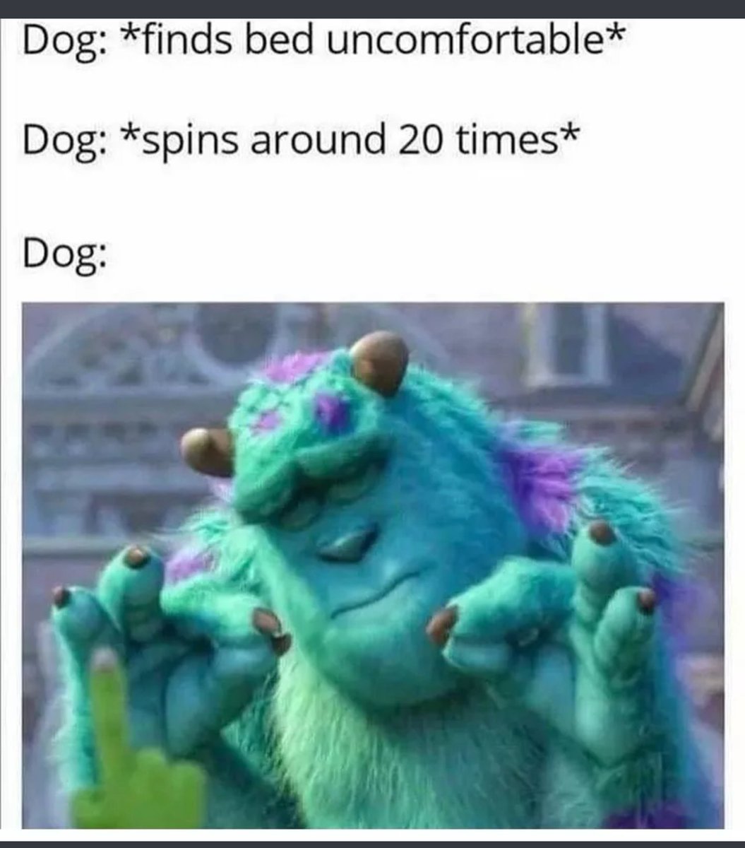 Reply with a wholesome meme. I'll start.