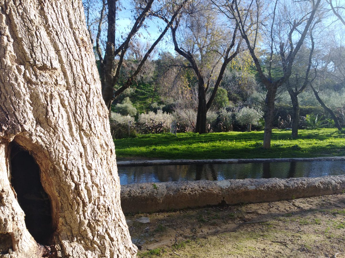 ACFDELSOL's tweet photo. La Asociación Cultural Fuente del Sol entrega el próximo jueves 2 de julio, a partir de las 22 horas, los premios del I Concurso Fotográfico "Parque de la Muela", en la Fuente del mismo nombre.
#Parque de la Muela
#Fuente del Sol
#Concurso Fotográfico
#El Viso del Alcor https://t.co/QVaqXzSrxn