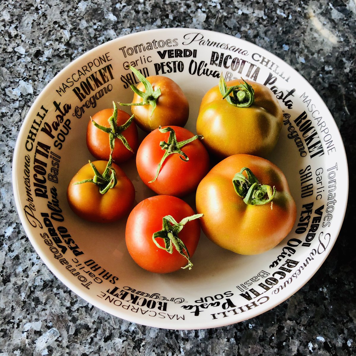 ciaraquill's tweet image. The first of my father’s home grown tomatoes 🍅 🍅 🍅 #homegrown #tomatoes #irishtomatoes #dadsgarden #grandadsgarden #SQ  #trátaí #yum #delicious #lecker #délicieux #homegardener #besttomatoes #irishfood #homegrownisbest