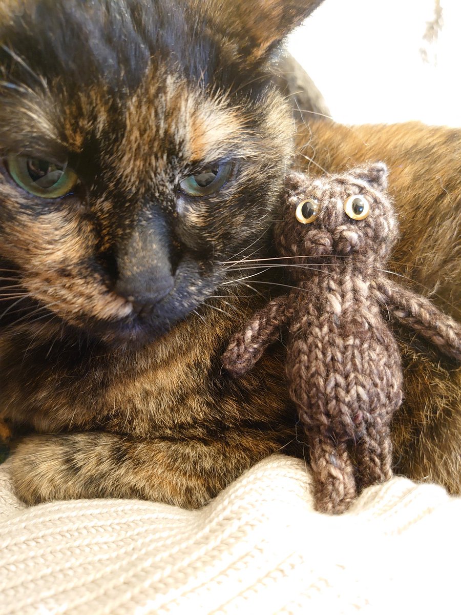 サビ猫ちゃん編んでみました #amigurumi #棒針編みのあみぐるみ