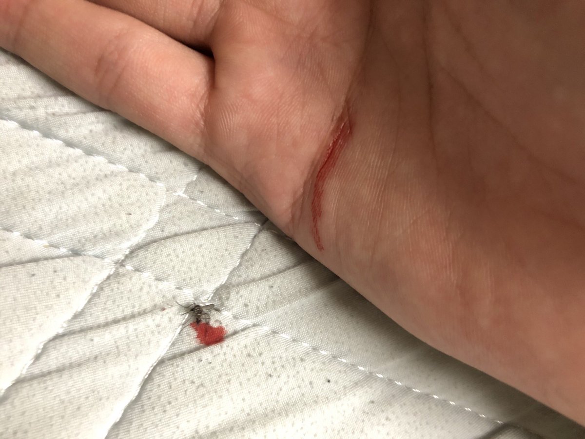 布団血染めになったし返り血 元を辿れば自分の血 浴びてしまった 格子城 雑多のイラスト 布団血染めになったし返り血 元を辿れば自分の血 浴びてしまった 格子城 雑多のイラスト