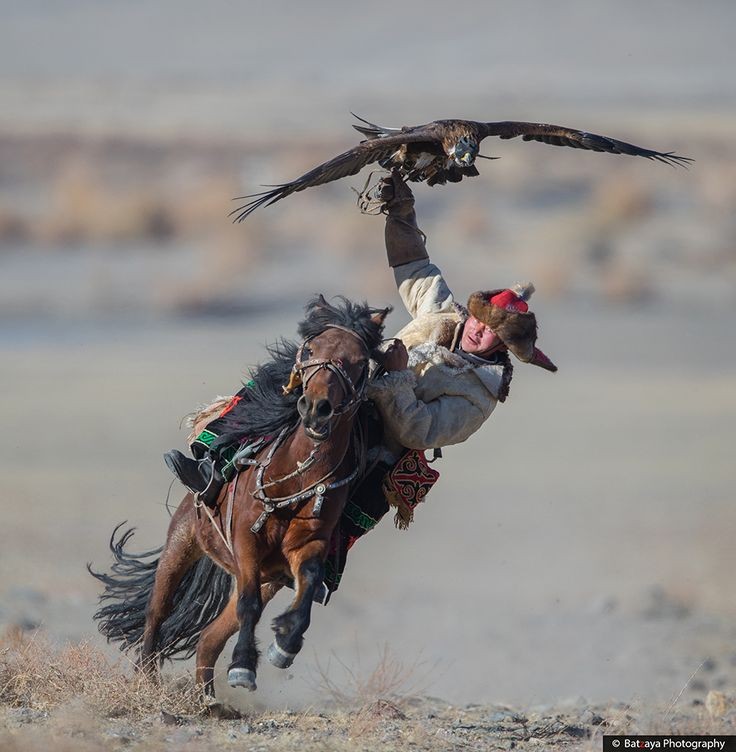 gitweeta's tweet photo. Traditional Mongolians always looks so bad-ass in pics https://t.co/Q6lC1oucr1