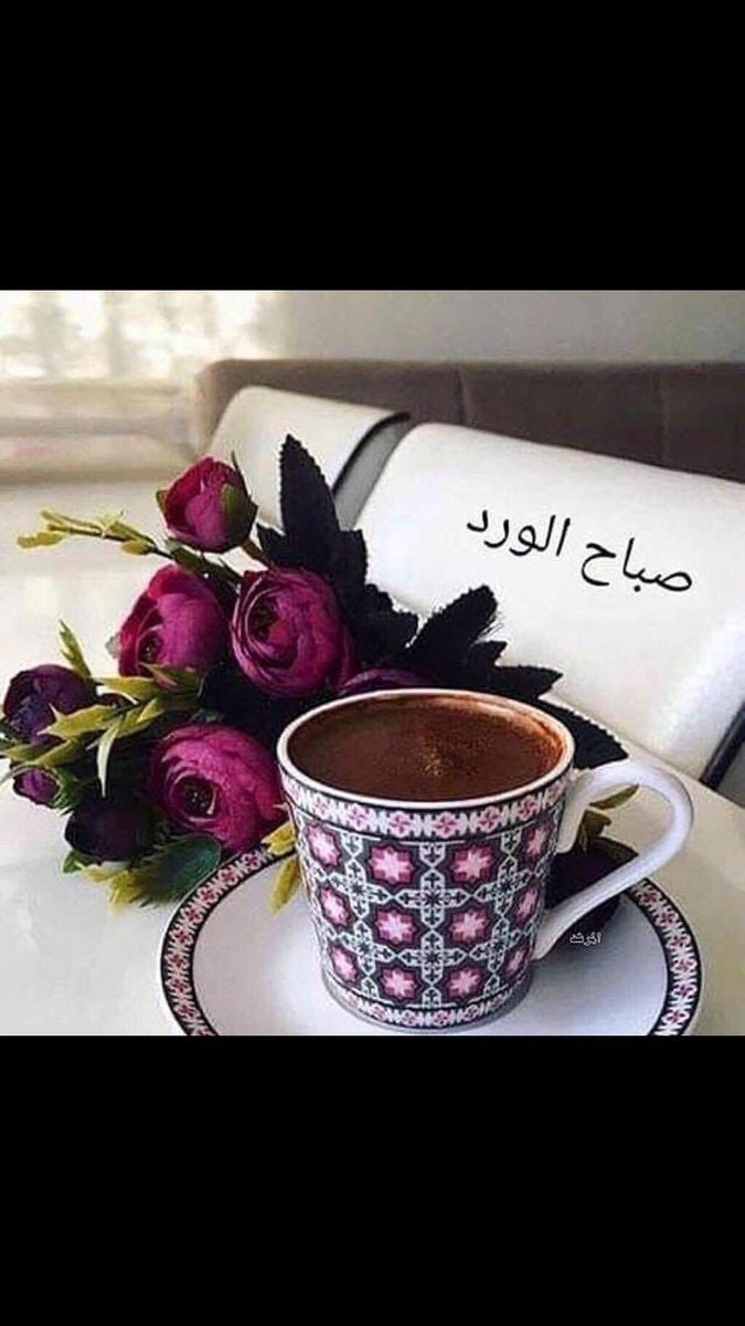 kuwaiti (@kuwaiti16225408) on Twitter photo 