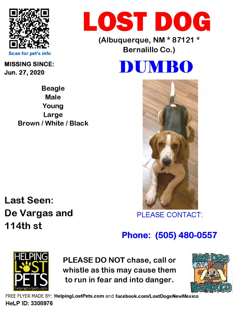 #LOSTDOG #Dumbo #Albuquerque (De Vargas &amp; 114th st) #NM 87121 #Bernalillo Co. , #Lost #Dog 06-27-2020!, Male #Beagle Brown/White/Black/Dumbo is a brown, white, black beagle with a white spot on his back

More Info, Photos and to Contact: helpinglostpets.com/petdetail/?id=…

#HelpingLostPets