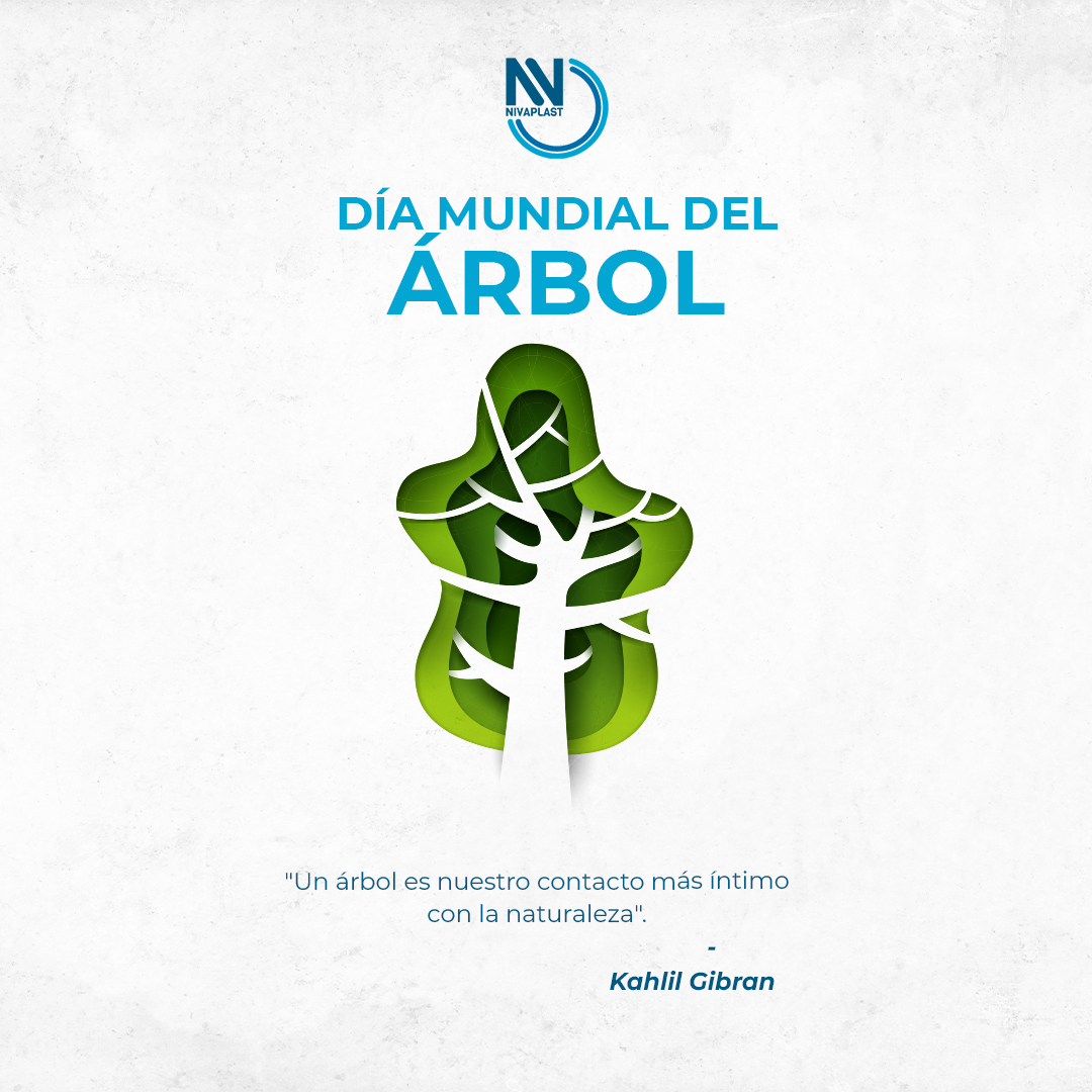 Nunca es tarde para conectar con la naturaleza🌱💚 . Feliz #DíaMundialDelÁrbol 🌳 Es un gran día para celebrar los que son los pulmones de nuestro planeta.🌍