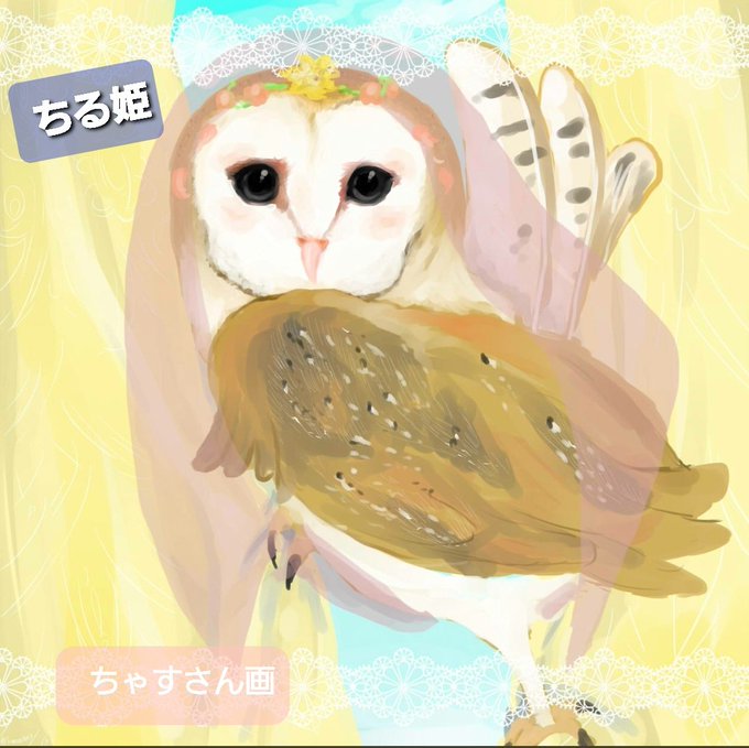 メンフクロウのtwitterイラスト検索結果