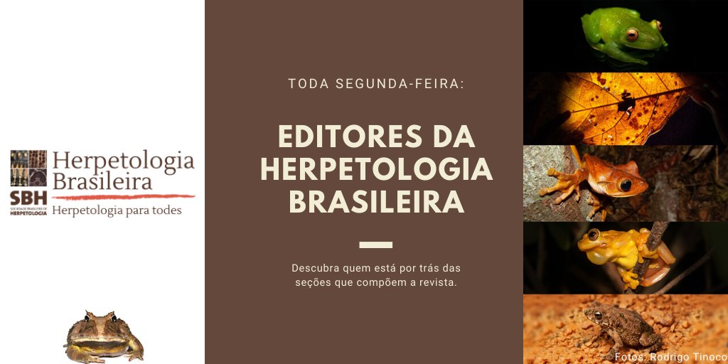 Herpetologia Brasileira tweet media