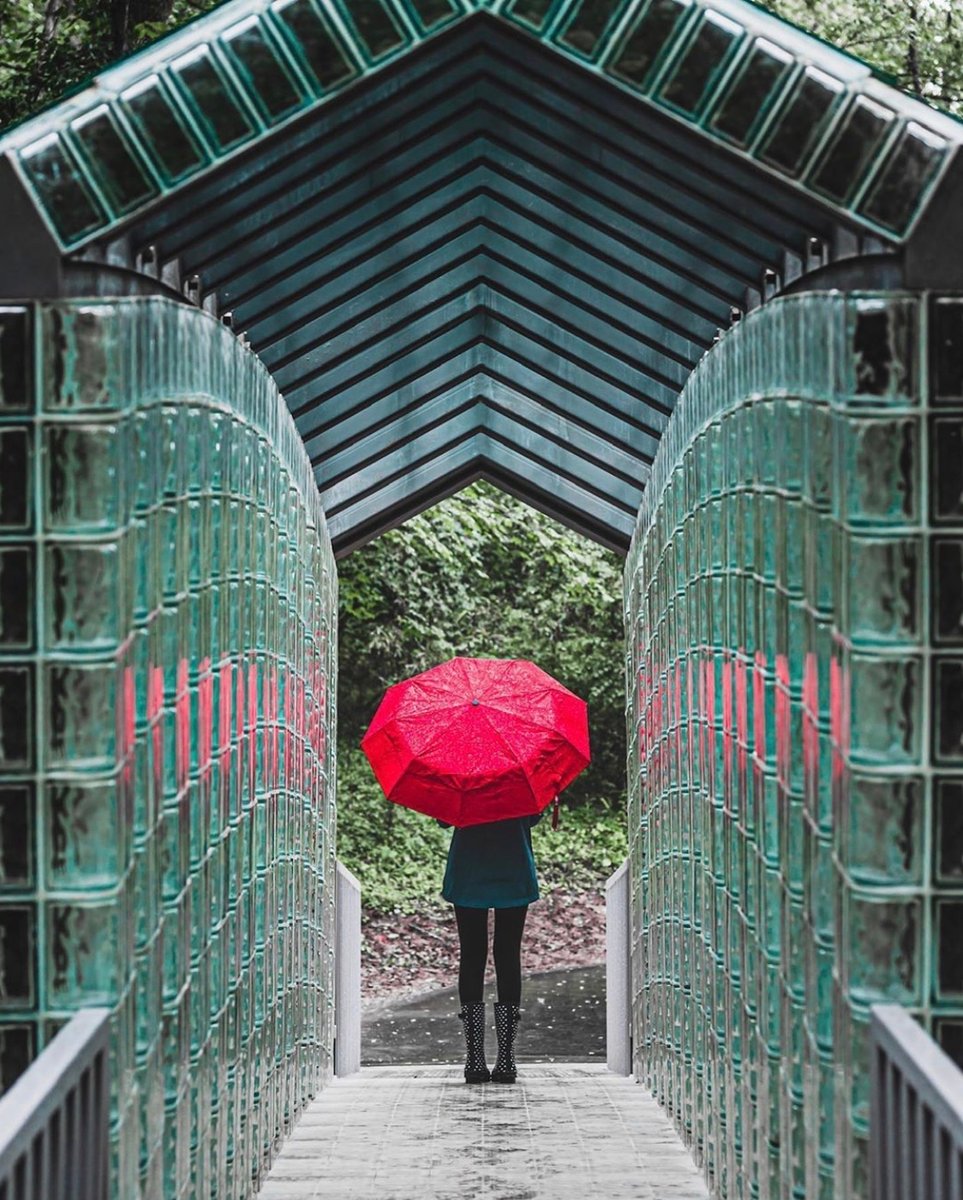 Cheekwood's tweet photo. Rainy days can be fun too!☔⁠
⁠
Have you visited the new Bracken Foundation Children’s Garden or the newly renovated Blevins Japanese Garden and Ann &amp; Monroe Carell Jr. Family Sculpture Trail yet? https://t.co/I16DSH5SCh