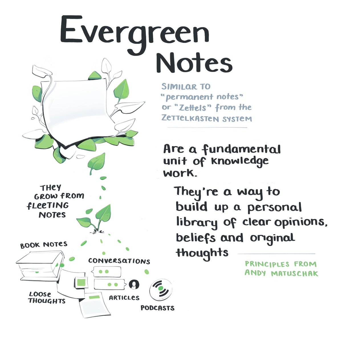 Mappletons's tweet image. In a true meta-note-nerd move, I illustrated summary notes on @andy_matuschak &apos;s Evergreen notes concept.

maggieappleton.com/evergreens

They&apos;re similar to the concept of Zettles, but Andy&apos;s horticultural metaphor made it click for me

As usual, I&apos;m just here for the metaphors 🌱
