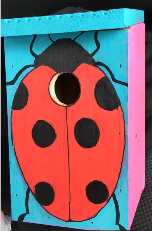 SandallPark's tweet photo. A latest addition to our bird box trail (when it's been varnished) painted by a young lad! (a potential Junior Ranger recruit) @MyDoncaster @CentralAreaTeam @GreenFlagAward @IFoSP_Doncaster https://t.co/jI9gT45r33