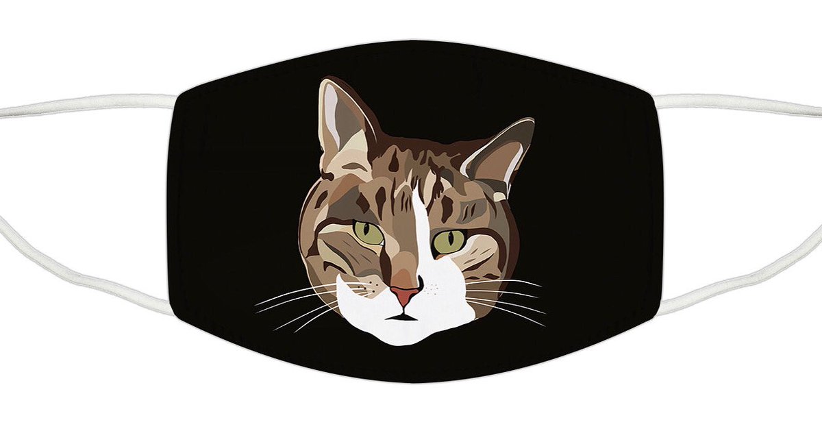 GailMyerscough's tweet photo. KATMASKS!
In honour of our boy Kat who recently passed away
10% of all sales will be donated to @heronbank_cat 
https://t.co/JDLigCVaao
#Facemask #facecovering #CatsOfTwitter #RIPKat https://t.co/JFWLBhfv6m