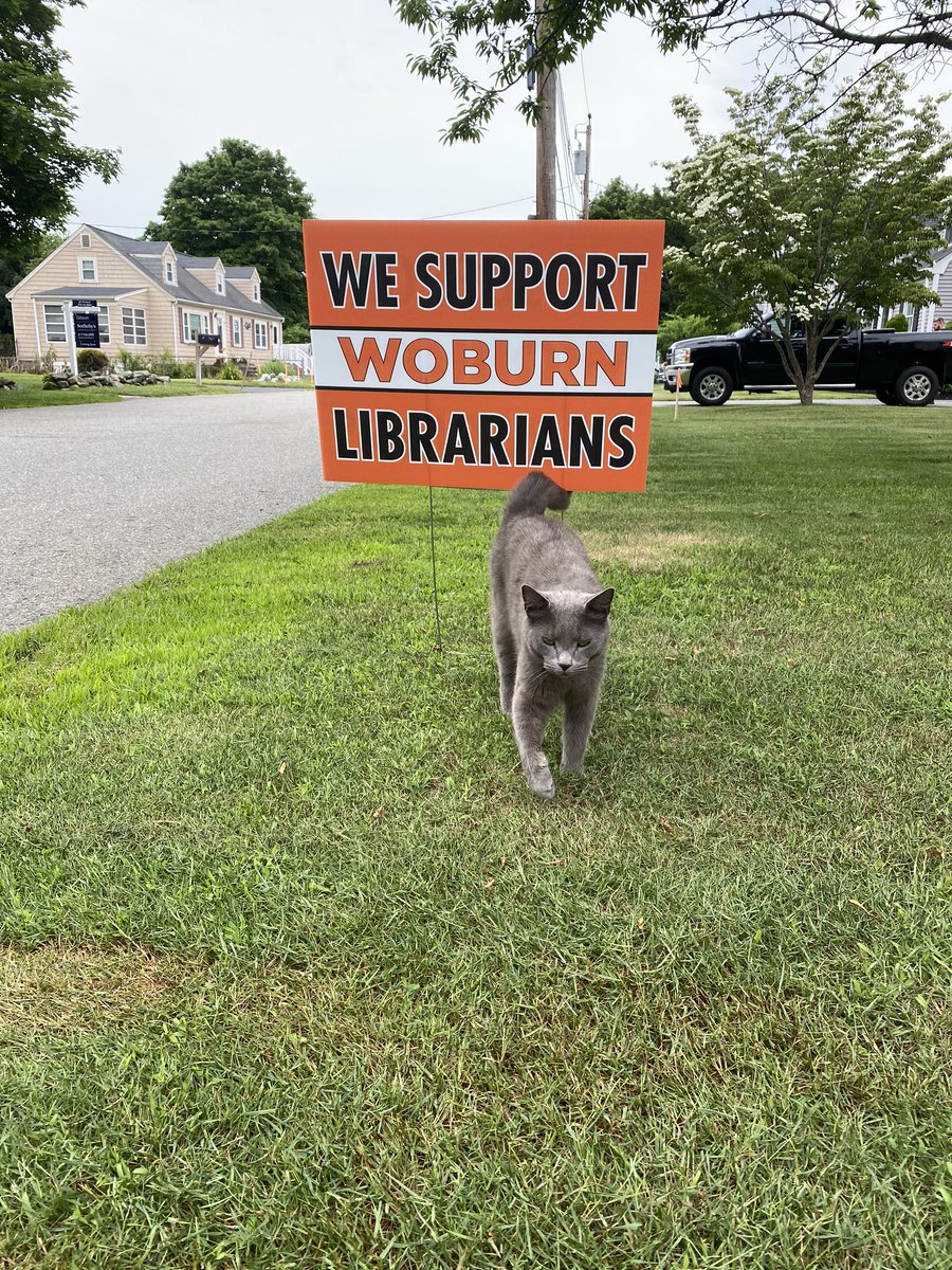 tkbreeden's tweet image. #woburnlibrary There 17 librarians who want to work.  Now we’re locked out of a building we helped build, unable to serve the community we love. #supportwoburnlibrarians #ProtectLibraryWorkers #oneofseventeen #WoburnMA