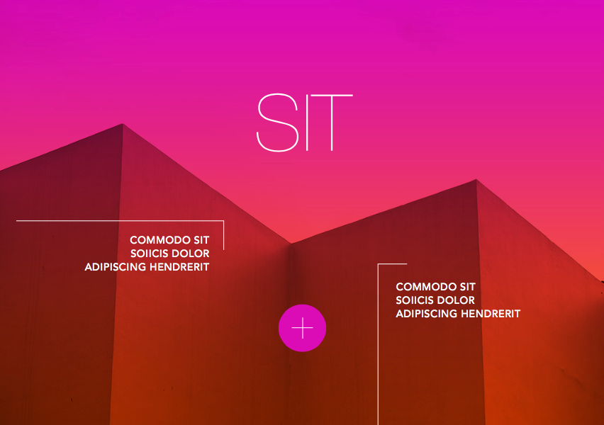 themeinn's tweet image. Banner design by @theme.inn

#company #graphic #graphicdesign #market #place #design #template #brand #banner #theme #awesome #create #creative #business #work #modern #style